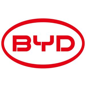 BMS BYD EN