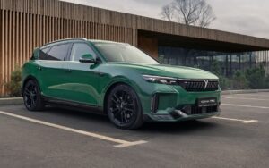 Диагностика и обслуживание для VOYAH FREE EV