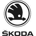 Марка шкода на русском языке DBScar3 все марки eobd